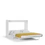 Double Fold Queen Murphy Wall Bed